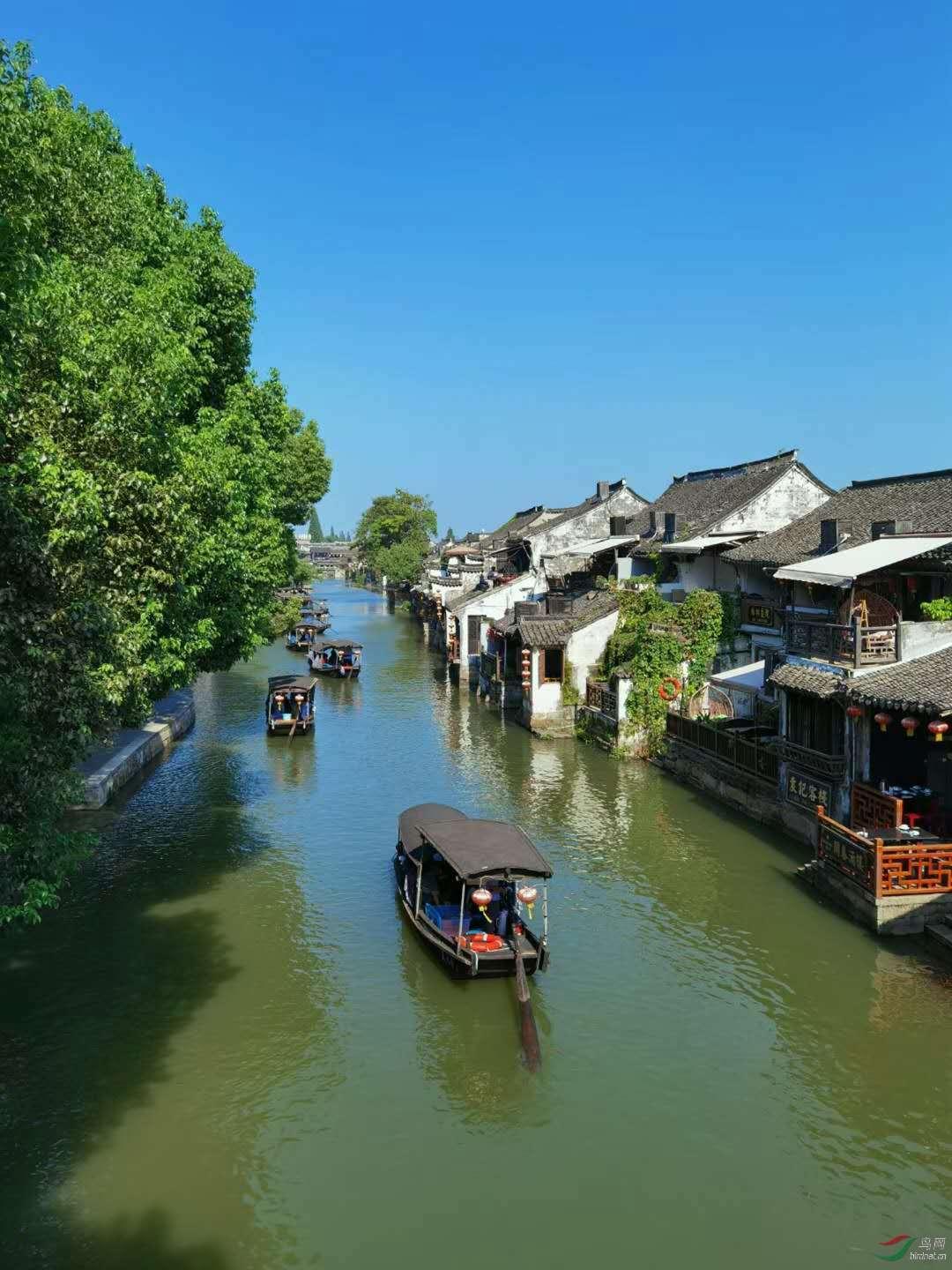 请问健康小助手是真人吗?游戏画面